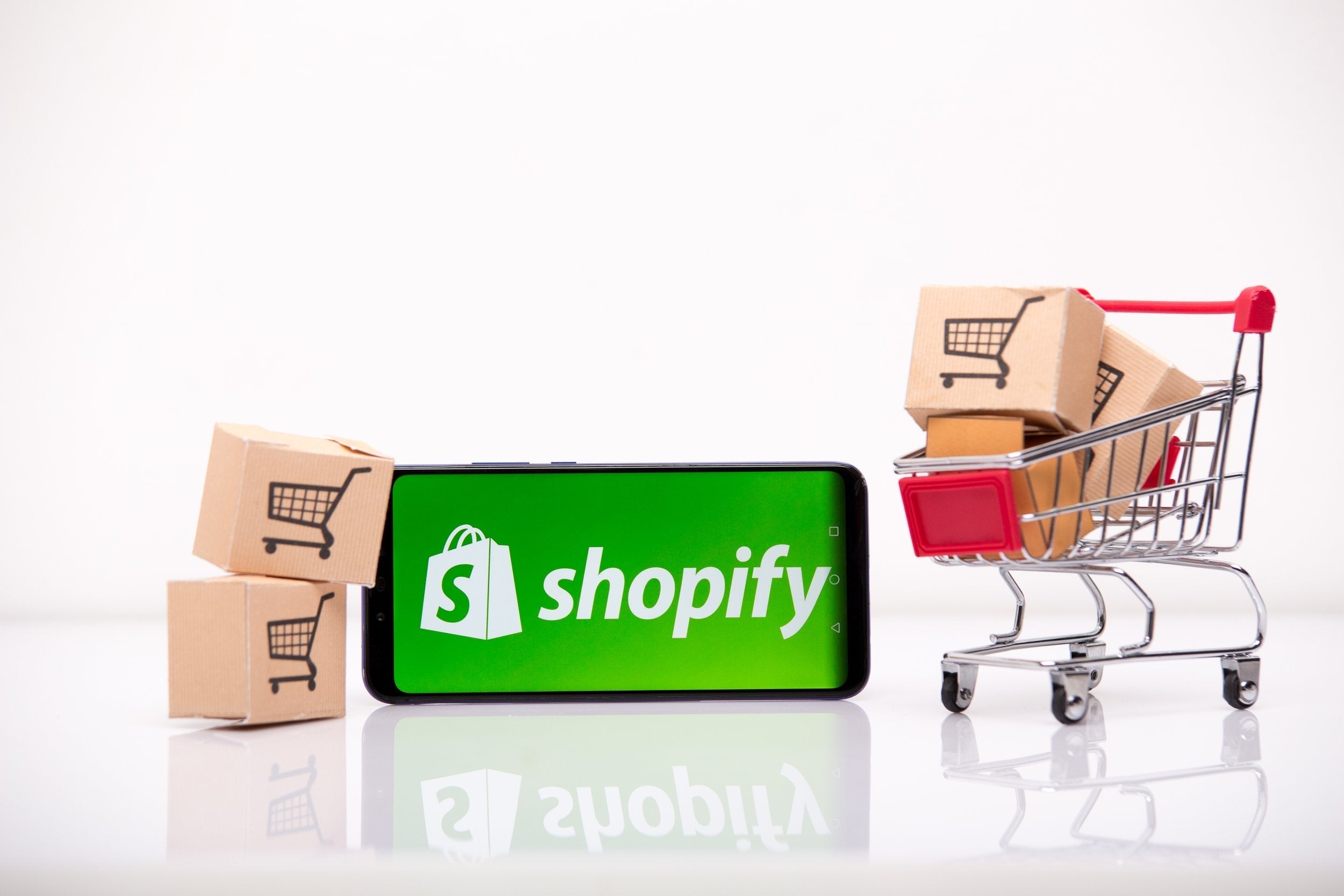 Shopify Roa's Increase Revenue With Shopify